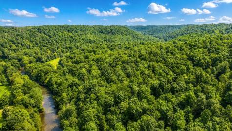 1258 Long Run Ellamore WV 26267