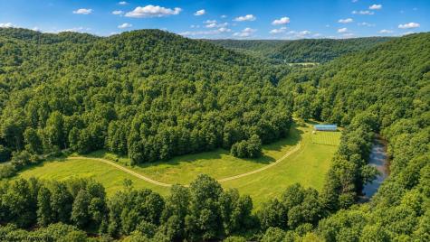 1258 Long Run Ellamore WV 26267