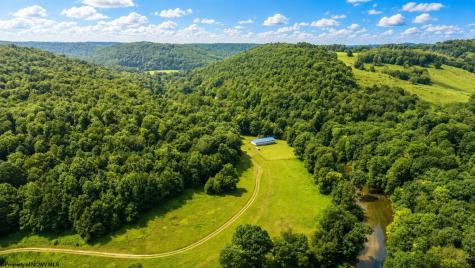 1258 Long Run Ellamore WV 26267