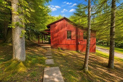 1258 Long Run Ellamore WV 26267