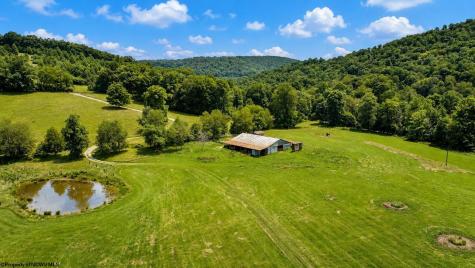 1258 Long Run Ellamore WV 26267