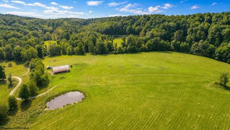 1258 Long Run Ellamore WV 26267