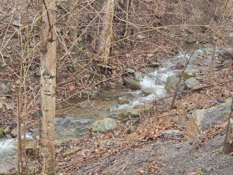 60 Annie Lane Circleville WV 26804