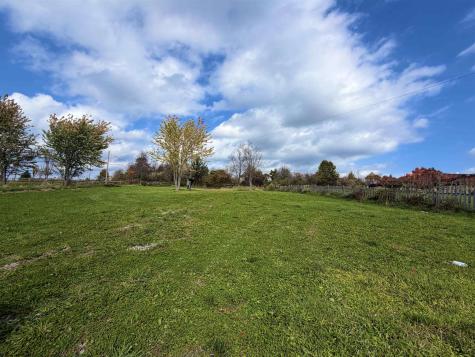 1116 Shady Grove Bruceton Mills WV 26525