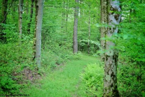 26879 Veterans Memorial Highway Terra Alta WV 26764