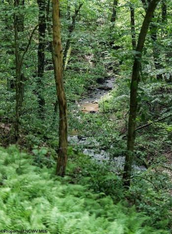 26879 Veterans Memorial Highway Terra Alta WV 26764