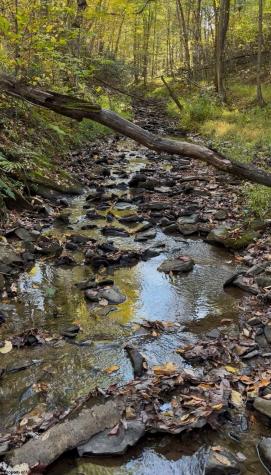 26879 Veterans Memorial Highway Terra Alta WV 26764