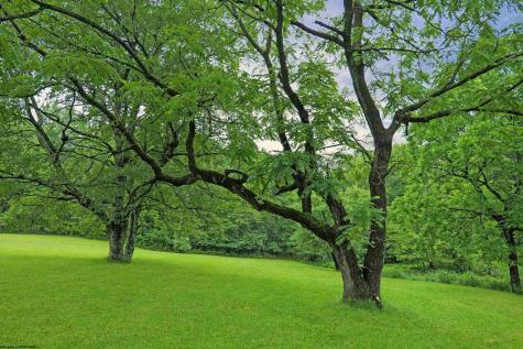 26879 Veterans Memorial Highway Terra Alta WV 26764