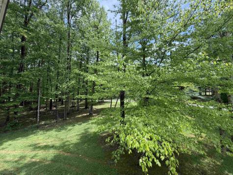 54 Deerbrook Lane Belington WV 26250