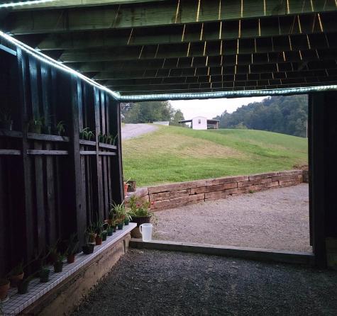 0 Carter Road French Creek WV 26218