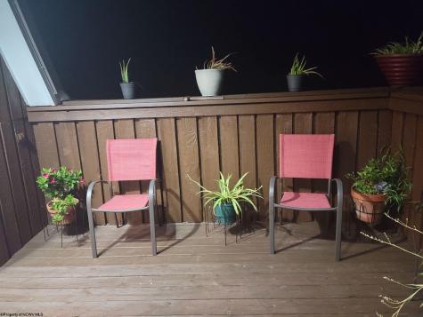 0 Carter Road French Creek WV 26218