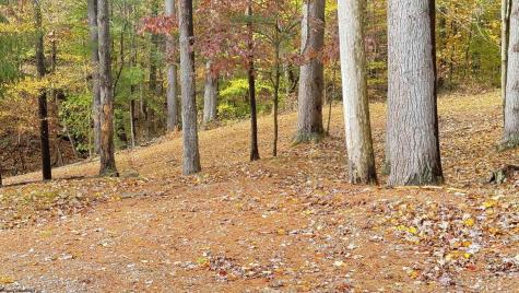 157 Lakeview Terrace Drive Salem WV 26426