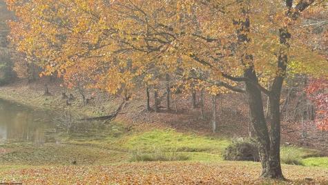 157 Lakeview Terrace Drive Salem WV 26426