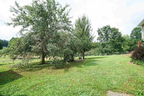 146 Granville Lane Buckhannon WV 26201