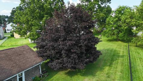 222 Johnson Avenue Bridgeport WV 26330