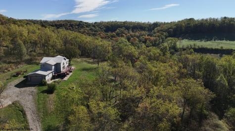 295 Ooga Ooga Lane Valley Grove WV 26060