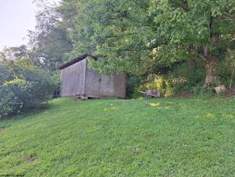 1504 Brushy Fork Road Buckhannon WV 26201