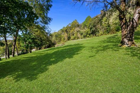 251 Pearl Felton Lane Grafton WV 26354