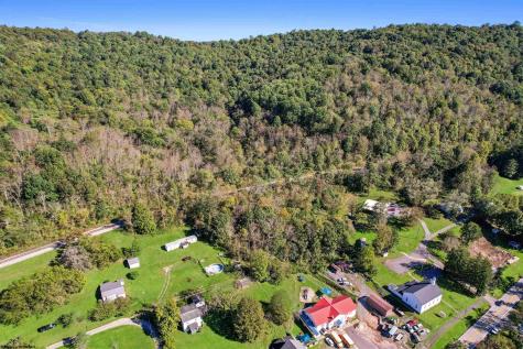 251 Pearl Felton Lane Grafton WV 26354