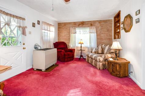 251 Pearl Felton Lane Grafton WV 26354