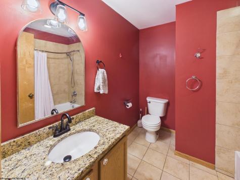119 Driftwood Road Bridgeport WV 26330-9819
