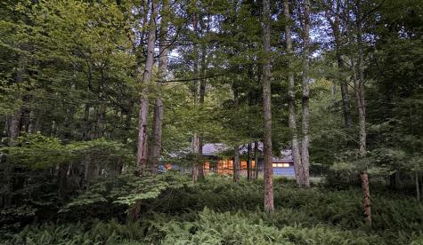 626 Sand Run Road Davis WV 26260
