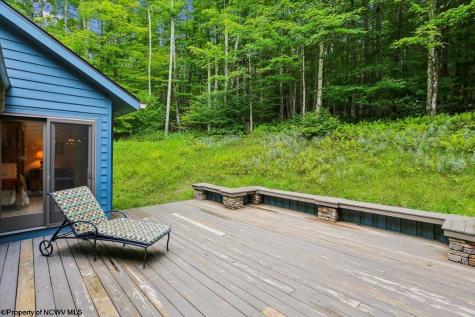 626 Sand Run Road Davis WV 26260