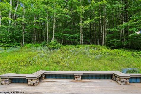 626 Sand Run Road Davis WV 26260