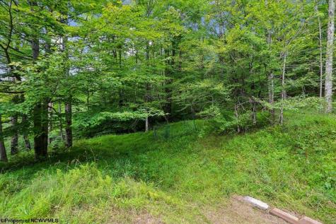 626 Sand Run Road Davis WV 26260