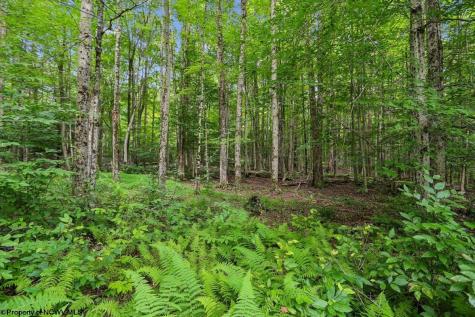 626 Sand Run Road Davis WV 26260