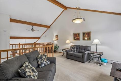 303 Slopeside Road Davis WV 26260
