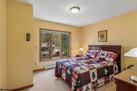 303 Slopeside Road Davis WV 26260