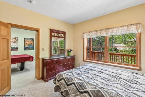 303 Slopeside Road Davis WV 26260