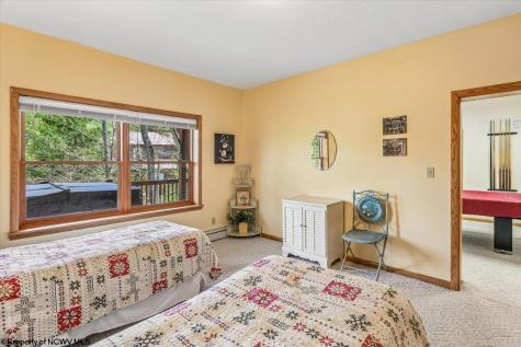 303 Slopeside Road Davis WV 26260