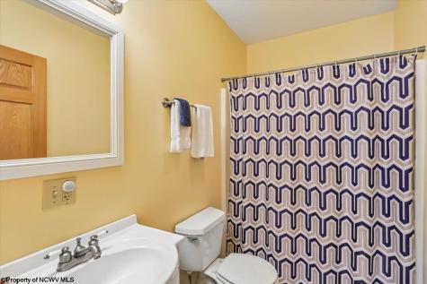 303 Slopeside Road Davis WV 26260