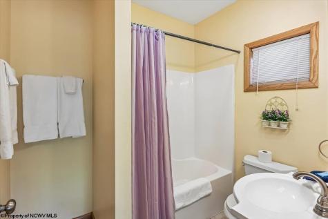 303 Slopeside Road Davis WV 26260