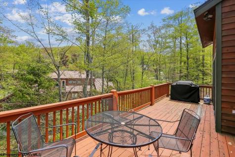 303 Slopeside Road Davis WV 26260