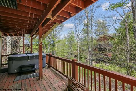 303 Slopeside Road Davis WV 26260