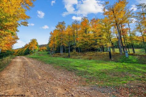 303 Slopeside Road Davis WV 26260