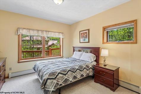 303 Slopeside Road Davis WV 26260