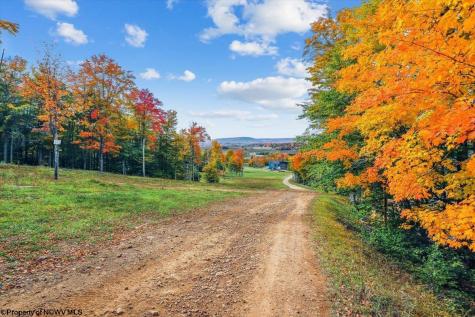 303 Slopeside Road Davis WV 26260