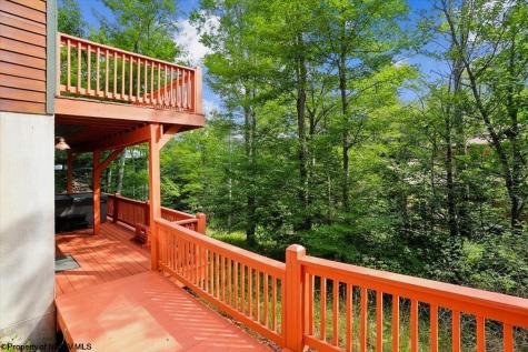 303 Slopeside Road Davis WV 26260