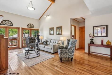 303 Slopeside Road Davis WV 26260