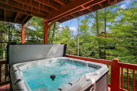 303 Slopeside Road Davis WV 26260