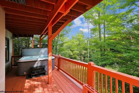 303 Slopeside Road Davis WV 26260
