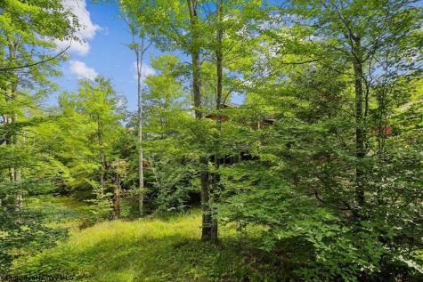 303 Slopeside Road Davis WV 26260