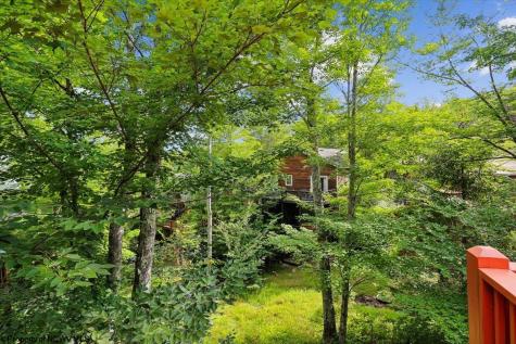 303 Slopeside Road Davis WV 26260