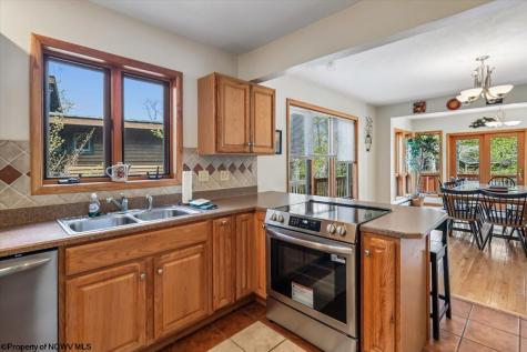 303 Slopeside Road Davis WV 26260