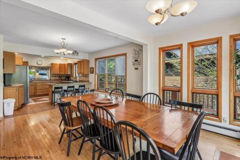 303 Slopeside Road Davis WV 26260