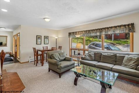 303 Slopeside Road Davis WV 26260